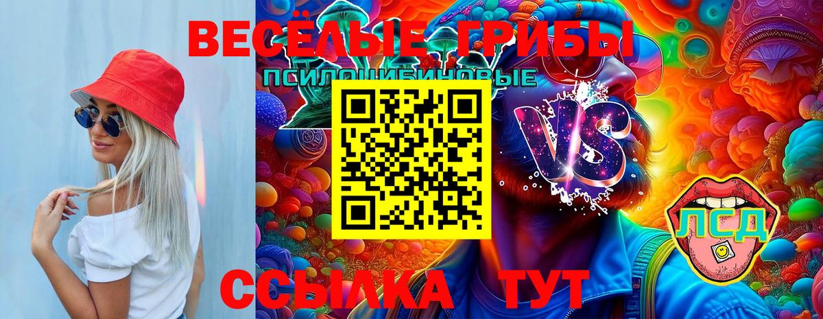 Псилоцибиновые грибы Psilocybe Ефремов