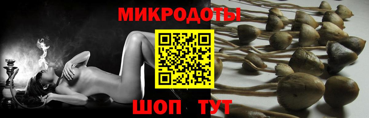 Галлюциногенные грибы ЛСД  Псилоцибиновые грибы Magic Shrooms  Ефремов  даркнет сайт  Вход с VPN 